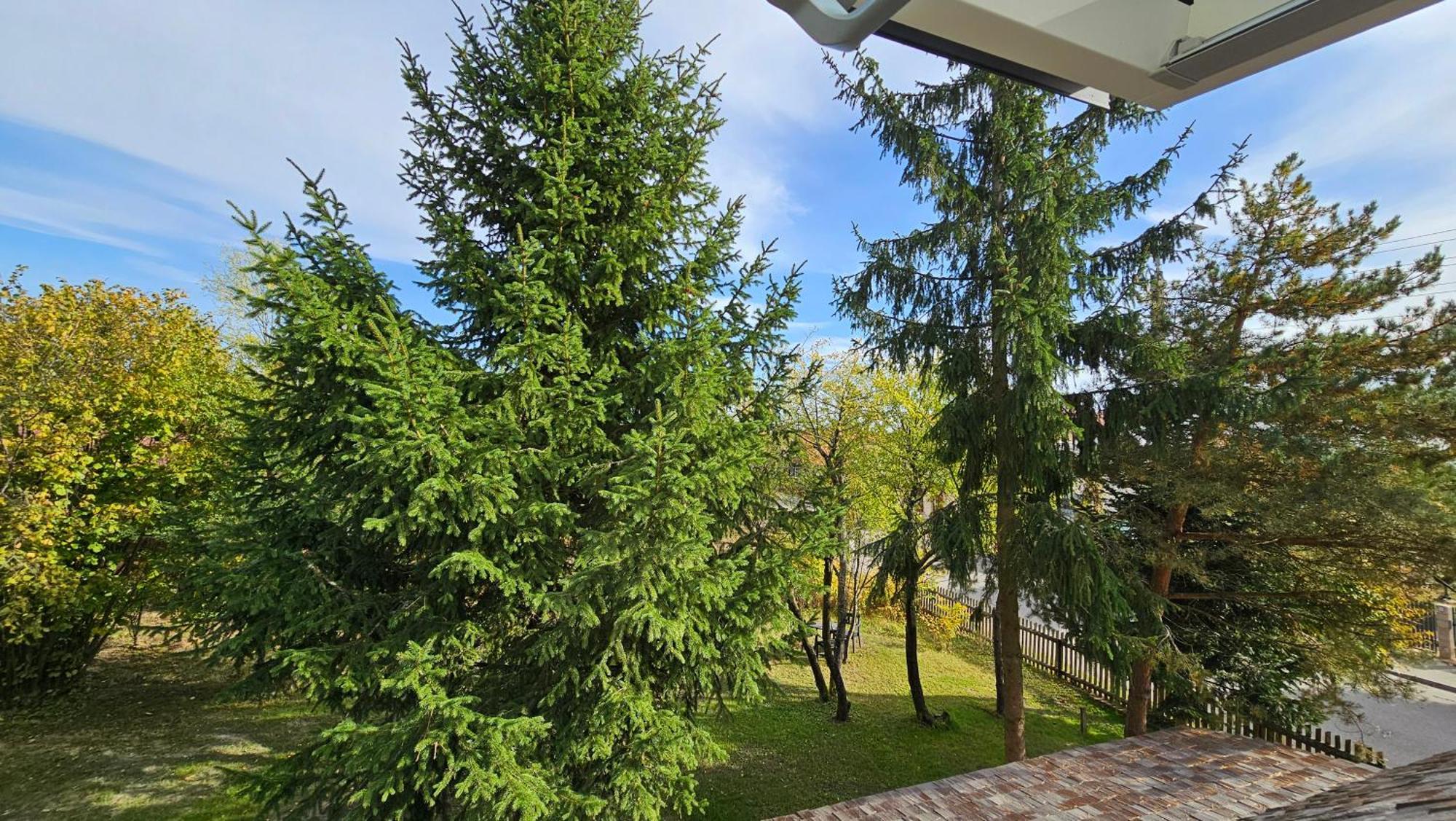 Stoczek 1929 Bed & Breakfast Bialowieza Exterior photo